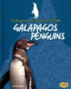Galapagos_penguins