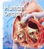 Human_organs
