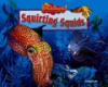 Squirting_squids