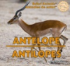 Antelope__