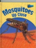 Mosquitoes_up_close