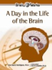 A_day_in_the_life_of_the_brain