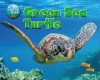 Green_sea_turtle