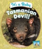 It_s_a_baby_Tasmanian_devil_