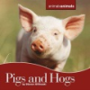 Pigs_and_hogs