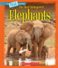 The_most_endangered_elephants