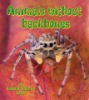 Animals_without_backbones