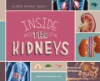 Inside_the_kidneys