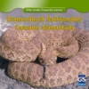 Diamondback_rattlesnake__