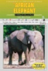 The_African_elephant