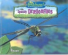 Speedy_dragonflies