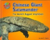 Chinese_giant_salamander