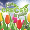 __C__mo_crecen_las_plantas_