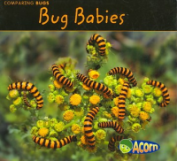 Bug_babies