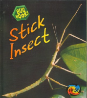 Stick_insect