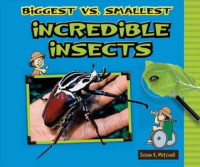 Biggest_vs__smallest_incredible_insects