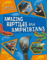 Amazing_reptiles_and_amphibians