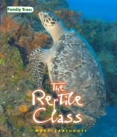 The_reptile_class
