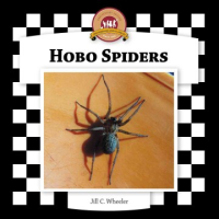 Hobo_spiders