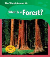 What_is_a_forest_