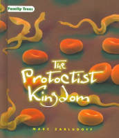 The_Protoctist_kingdom