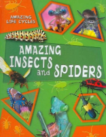 Amazing_insects_and_spiders