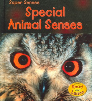 Special_animal_senses