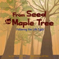From_seed_to_maple_tree