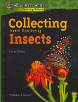 Collecting_and_sorting_insects