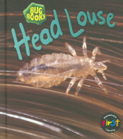 Head_louse
