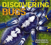 Discovering_bugs