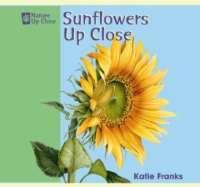 Sunflowers_up_close___Los_girasoles