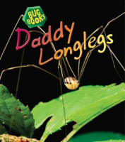 Daddy_longlegs