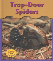 Trap-door_spiders