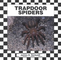 Trapdoor_spiders
