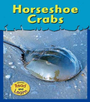 Horseshoe_crabs