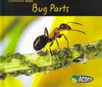 Bug_parts