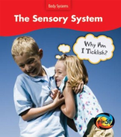 The_sensory_system