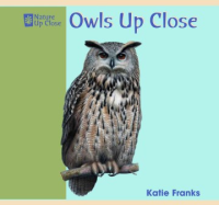 Owls_up_close___Los_buhos