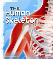 The_human_skeleton