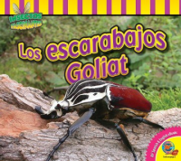 Los_escarabajos_Goliat