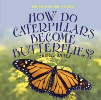 How_do_caterpillars_become_butterflies_