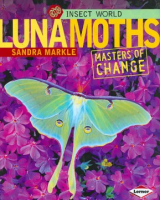 Luna_moths
