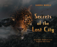 Secrets_of_the_lost_city