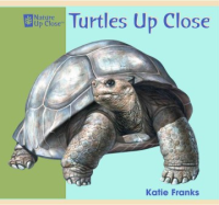 Turtles_up_close___Las_tortugas