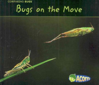 Bugs_on_the_move