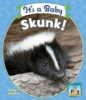 It_s_a_baby_skunk_