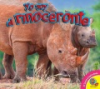 Yo_soy_el_rinoceronte