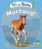 It_s_a_baby_mustang_