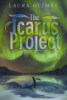 The_Icarus_project